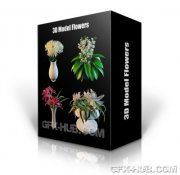 3DDD/3DSky Flowers – PRO 3D-models Collection