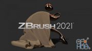 Pixologic ZBrush v2021.6.6 Win/Mac x64