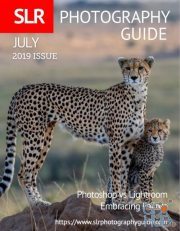 SLR Photography Guide – July 2019 (PDF)