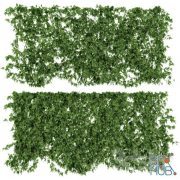 Ivy leaf wall for exterior and interior