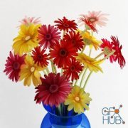 Gerberas in a blue vase