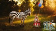 Dancing Stripes Zebra: Post Processing Video
