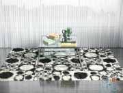 Modern glass table with decor and rug