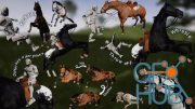 Unreal Engine – Horse Riding and Taming Kit