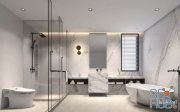 Modern bathroom interior 049