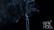 MotionArray – Gray Smoke On Black Background 1022793