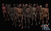 CGTrader – Skeleton Zombies Low-poly 3D model (Unity Asset)