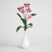 Alstroemeria in a white vase