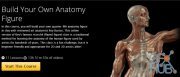 Build Your Own Anatomy Figure with Rey Bustos