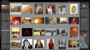 Skillshare – Fundamentals of Lightroom I: Organize Files and Boost Your Workflow