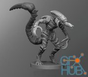 Hive Warrior – 3D Print