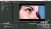 RevisionFX RE:Flex 5.4.0 for After Effects (Win/Mac)