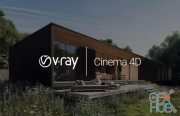 V-Ray Advanced v5.10.22 for Cinema 4D R20 to R25 Win x64