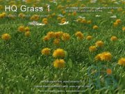 vrayc4d – HQ Grass vol.1 for Cinema 4D