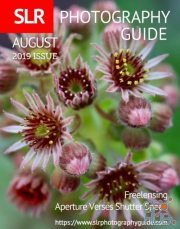SLR Photography Guide – August 2019 (PDF)