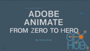 Udemy – Adobe Animate 2022 – From zero to hero