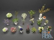 Modern Green Plant Flower Pot Combination
