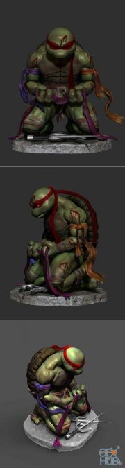Tortuga Raphael – 3D Print