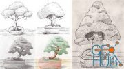 Udemy – Drawing, Shading And Coloring Bonsai Trees In Procreate