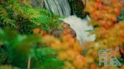 MotionArray – Waterfall In Beautiful Autumn Garden 93209