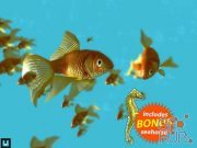 Unity Asset – Fish School Goldfish
