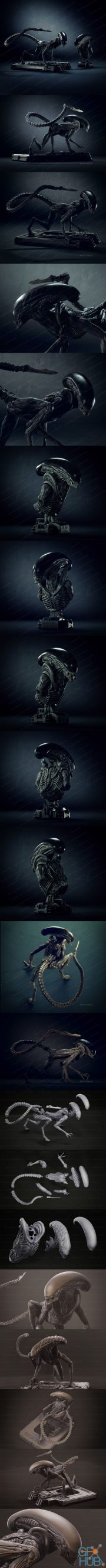 Dog Alien Crawling - Xenomorph Series