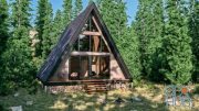 Architecture Inspirations – Forest Cabin