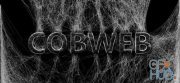BlenderNation – Cobweb v2.1