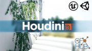 Udemy – Houdini Game Art – Create foliage for Games with Houdini (ENG/RUS)