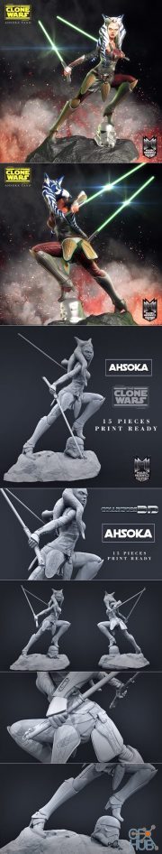 Ashoka – 3D Print