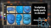Sculpting Body Parts in Zbrush For Animation