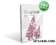 XfrogPlants – Flowers 3