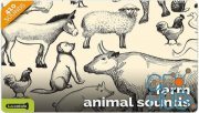GameDev Market – Farm Animal Sounds