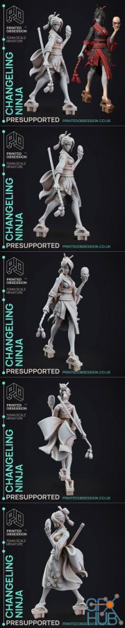 Changeling Ninja – 3D Print