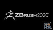 Pixologic Zbrush v2020.1.1 Win/Mac x64