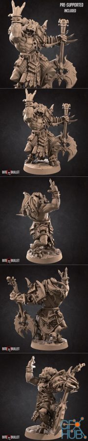 Diox, the Metal Bard Dragonborn – 3D Print