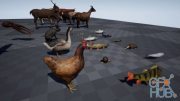 Unreal Engine Asset – Animal Pack Ultra