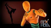 Exploring Animation Principles in 3ds Max 2011