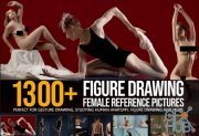 ArtStation Marketplace – 1300+ Figure Drawing Female Reference Pictures