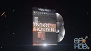 Cozzi – Intro to Houdini