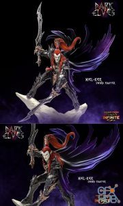 Xiel Ker Sword Master – 3D Print