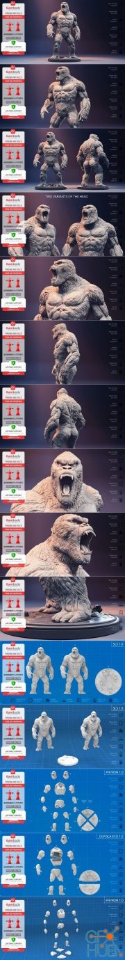 Kong – 3D Print