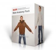 3D.SK – Male Anatomy Photo references pack