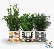 New Orla Kiely pots with house herbs