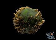 Skillshare – Cinema 4D (R20+) and Redshift: Gold spikes on organic surface
