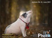 WePhoto Animals – Vol. 08, June 2021 (PDF)