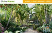 Globe Plants – Bundle 32 – Brazilian Home & Garden Plants (3D-Models)
