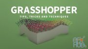 Lynda – Grasshopper: Tips, Tricks, and Techniques (Updated: Feb /2021)