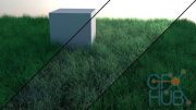 CGCookie – Creating Grass in Blender