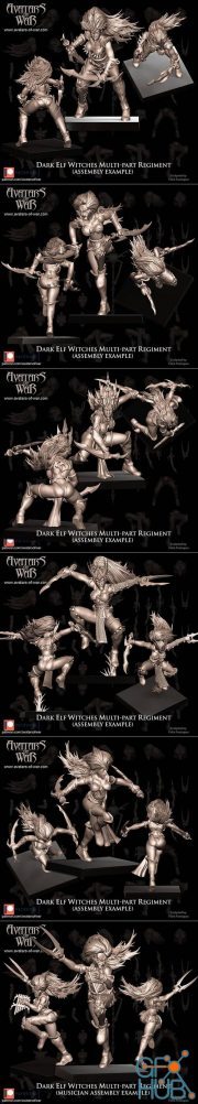 Avatars of War - Dark Elf Witches – 3D Print